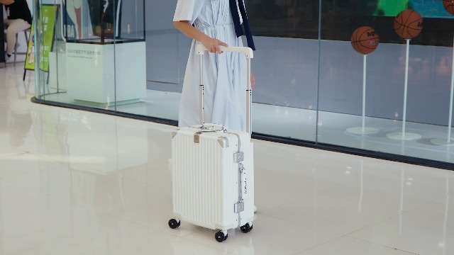 Amazon.com | ROPLUS Aluminium Frame Checked-Luggage with Smooth
