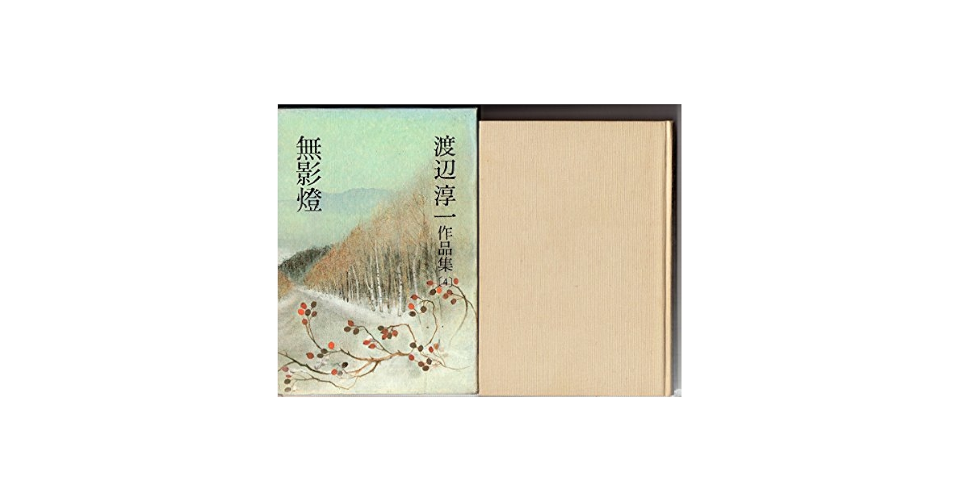 渡辺淳一作品集〈第3巻〉リラ冷えの街 (1980年) リラ冷えの街 渡辺淳一 - メルカリ