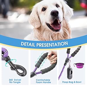 BAAPET 2 Packs 5/6 FT Dog Leash with Comfortable Padded Handle and Highly Reflective Threads Dog Leashes for Small Medium and Large Dogs (5FT-1/2”, Black+Purple)