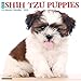 Produktbild Just Shih Tzu Puppies 2023 Wall Calendar