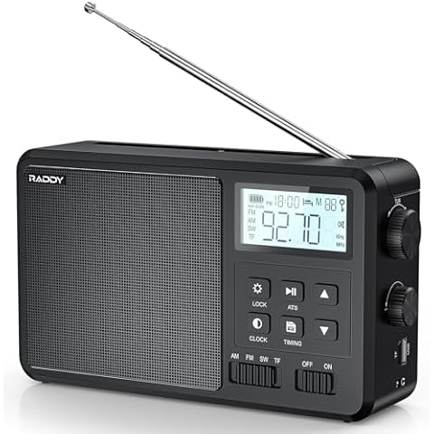 Raddy RF206 Radio Portable Cover