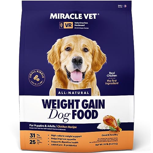 Top 10 Dog Food Brands with High Kcal Per Cup A Guide to Feed Your