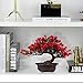 yoerm Artificial Bonsai Tree Fake Plants for Home Decor, Living Room Bathroom Bookshelf Entryway Table Wall Shelf Modern Farmhouse Decor, 9.5