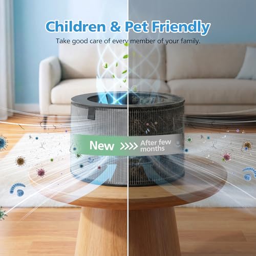 Image of PuriCare 360 Filter Replacement for LG PuriCare 360 Air Purifier, AS601HBB0 | 3-in-1 Filtration, HEPA+ Activated Carbon+Pre-Filter, for Home Large Small Room Bedroom up to 2059 ft Air Clean, 1 Pack