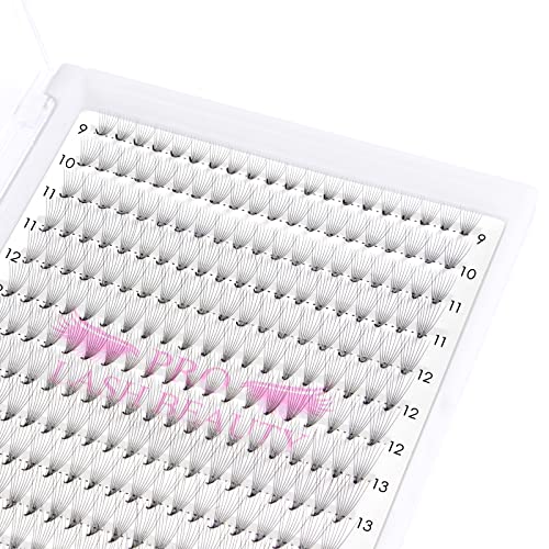 Premade Fans Eyelash Extensions Large Tray 320 Fans 10D Premade Volume Lash Extensions Pointed Base Premade Lash Extensions Fans (10D-D-0.07,9-16 mix)