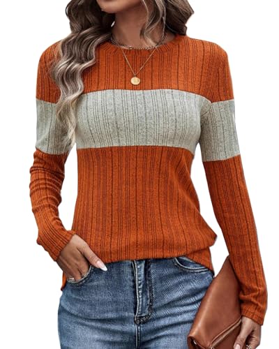 Image of SherryDC Women Long Sleeve Tunic Shirts Lightweight Thin Sweater Color Block Ribbed Casual Crewneck Fall Top