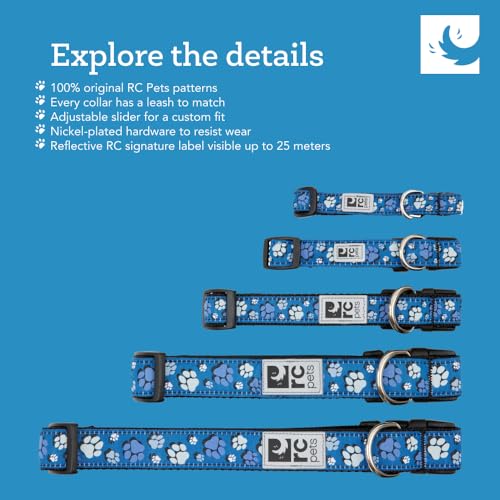 RC Pets Sporty, Fun, Functional Clip Collar-5/8 | Jurrasic Pack, X-Small