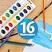 Crayola Watercolor 16Ct
