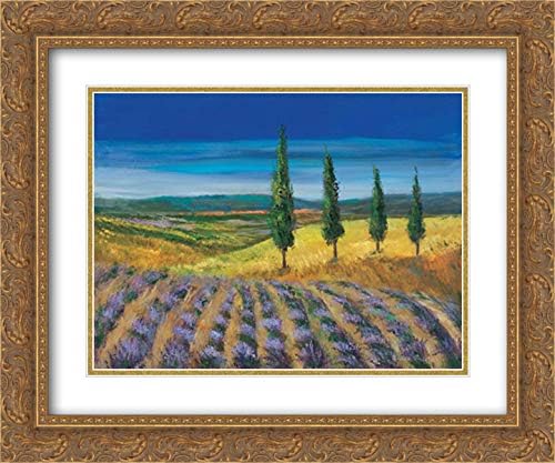 Paleta, Anna 17x15 Gold Ornate Framed and Double Matted Museum Art Print Titled Field of lavender