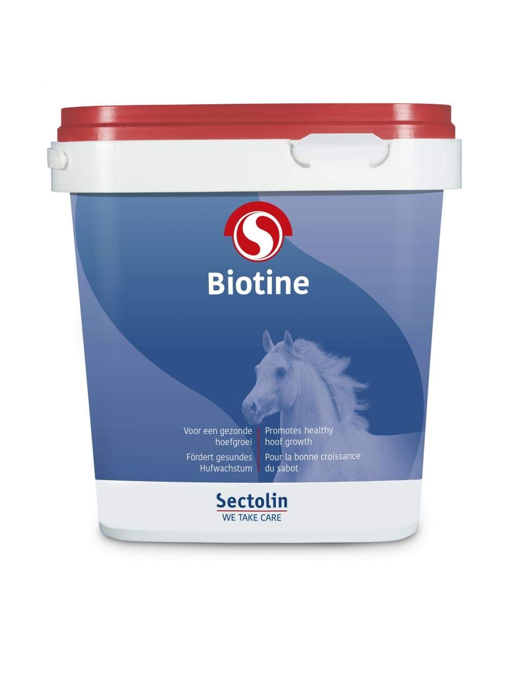 Biotine 3 kg – Taglia 3 kg