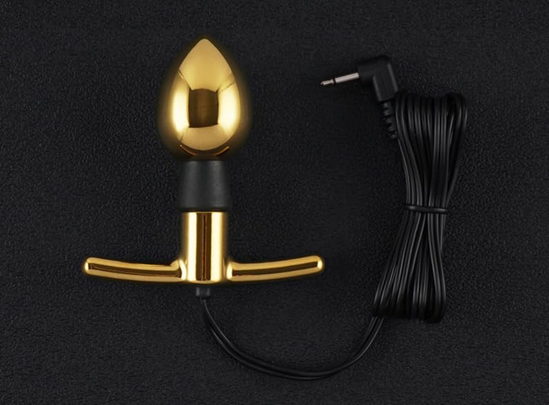 Plug anal E-Stim BiPolar Electrode pour stimulations ciblées