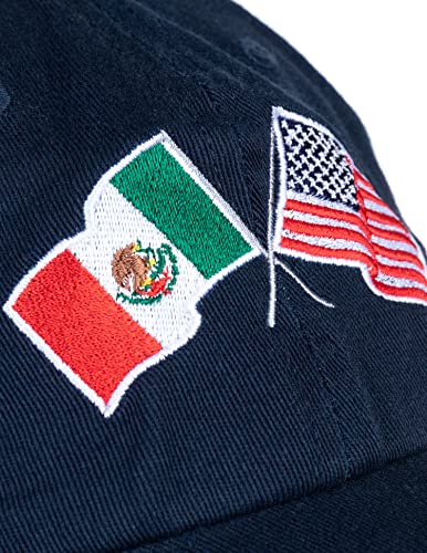 Image of Ann Arbor T-shirt Co. American Friendship Nations Flag Baseball Low Profile Dad Hat for Men Women