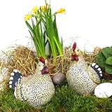tierfiguren kinder ELEGANTE FARBGEBUNG: In klassischem Schwarz-Weiß gehalten, fügen sich diese Hühnerfiguren nahtlos in jede Umgebung ein und verleihen Ihrem Raum oder Garten einen Hauch von Eleganz.