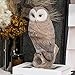 LC LCdecohome Owl Outdoor Statues Garden Yard - Decoration Home Decor Indoor Desk Tabletop Collectible Figurines Ancient Retro Collection 11