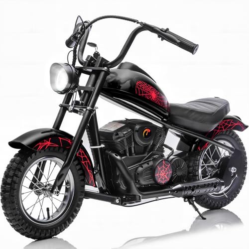 Electric Dirt Bike for Kids 8-14, 24V Ride On Motorcycle with 250W Motor, Up to...