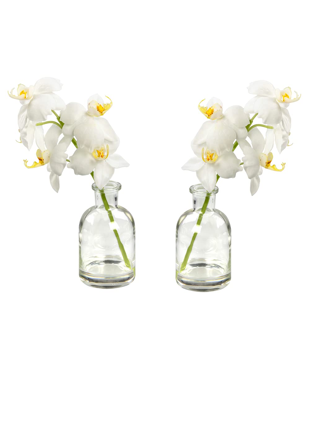 Serene Spaces Living Set of 2 Faux White Phalaenopsis Orchid in Glass Bottle, Modern Home Décor, Realistic Floral Decorations for Living Room, Bedroom, Wedding Tablescape, 2.5