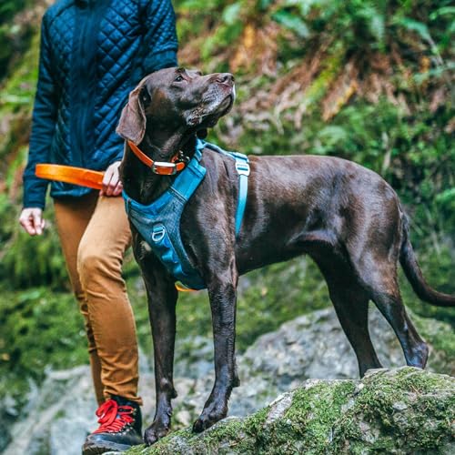Kurgo Journey Air Dog Harness - Secure Fit for Active Dogs - Padded Chest - Lightweight Ripstop Fabric - Breathable Mesh - Reflective Trim - Back Assist Handle - Coral - Large - Image 6