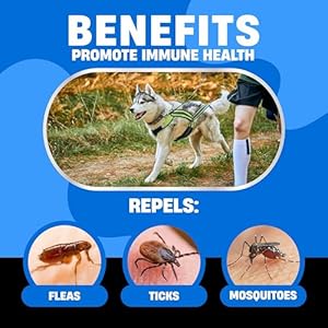 Natural Flea and Tick Prevention for Dogs Dog Flea and Tick Treatment Chewable Safe Flea Treatment Dogs of All Breeds Ages Flea Chews for Dogs Flea Pills for Dogs for Dog Flea Tick Control Cucciolini Doodles Natural flea and tick prevention for dogs dog flea and tick treatment chewable safe flea treatment dogs of all breeds ages flea chews for dogs flea pills for dogs for dog flea tick control cucciolini doodles
