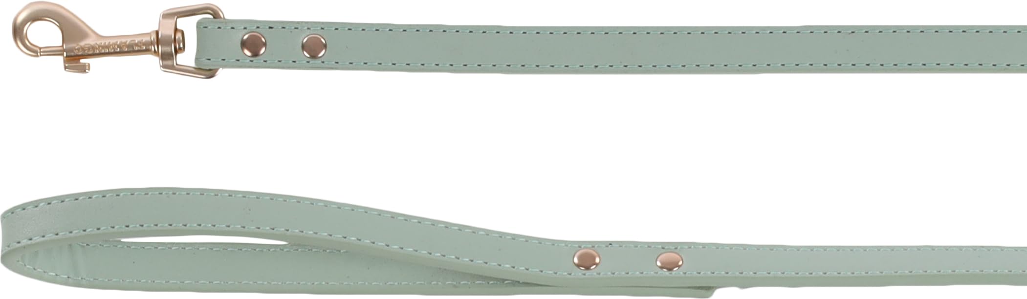 Dog Leash Nela Mint green 1,3m 15mm, 524508 - 1,3 m x 15 mm