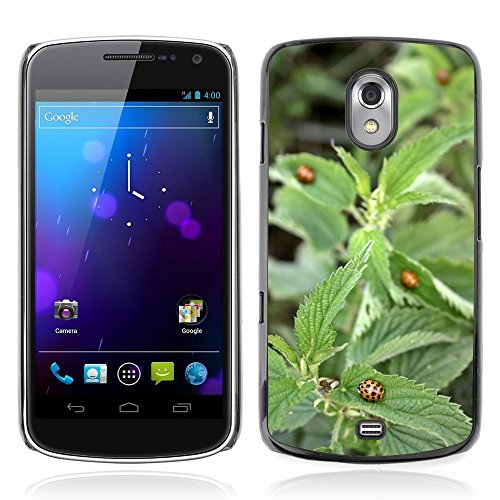 Wide selection of different designs