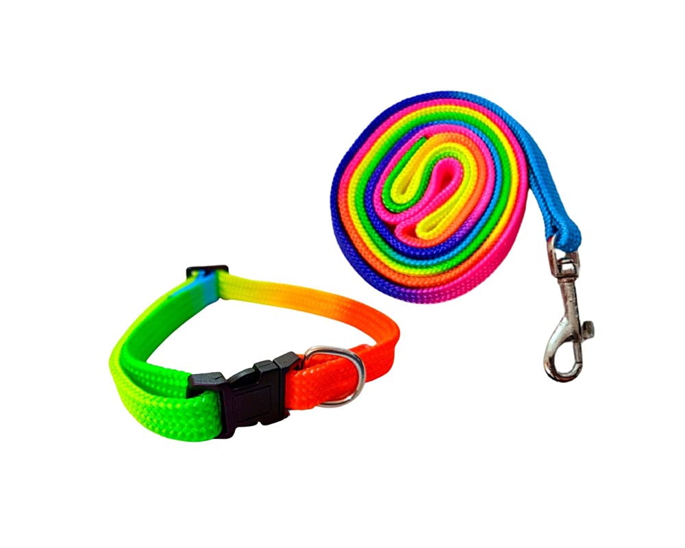 PawCloud Nylon Multicolor Dog Leash and Collar Set, for Small & Puppy Breeds (B01LWTTZ3Y) Amazon Price History, Amazon Price Tracker
