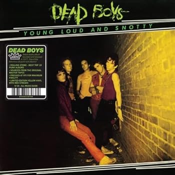 Vinyl Young Loud & Snotty Book
