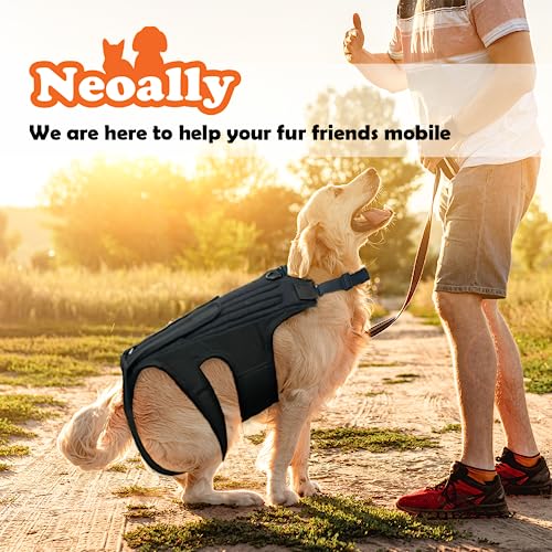 Image of NeoAlly Dog Back Brace for Dogs Arthritis, IVDD, Spinal Surgical Recovery, and Back Disease Prevention (Large)
