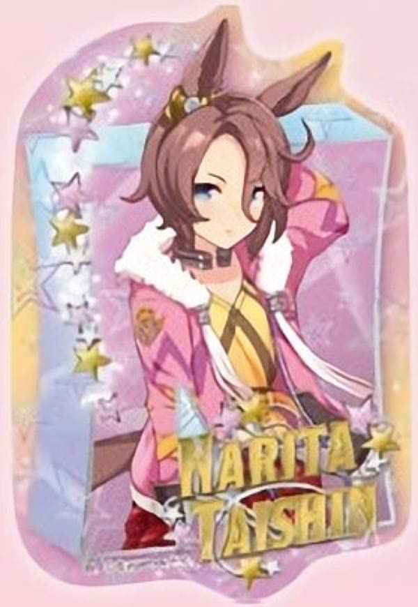 ナリタタイシン セット