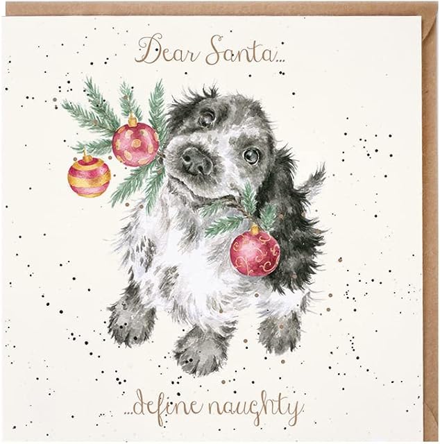 Wrendale Designs - 'Dear SantaDefine Naughty' Christmas Card
