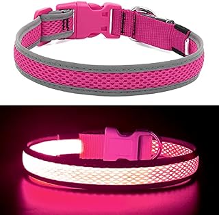 YFbrite LED Cat Collar  USB Rechargeable Waterproof Light Up Dog Collar, Fits Any Size Cat, Dog or Puppy, Glowing In The Dark Lights Collars for Pets Safety (Green)