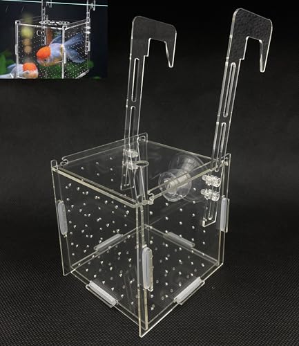 アクリル製アイソレーションボックス 水槽仕切り メダカボックス 稚魚隔離ケース メダカ産卵床 透明デザイン 10x10x10cm 簡単組み立て 多用途フィッシュフィーダー 水槽 仕切り