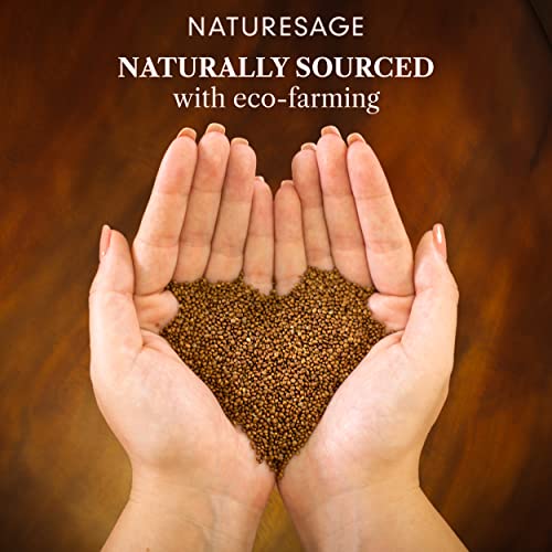 Naturesage Pure Vegan Liquid Omega 3 6 9 Oil, Plant Based Alternative To Fish Oil Extracted From Clary Sage Seed | Unflavored Fatty Acid Oils With Antioxidants | All Natural, Kosher 3.4 Fl Oz #TOP5