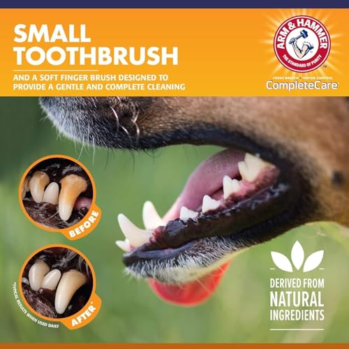 Image of Arm & Hammer Complete Care Puppy Dental Kit, Enzymatic Toothpaste with Baking Soda and Calcium for Dogs, Peanut Butter Flavor, Toothbrush and Microfiber Brush Included, Fluoride-Free, 2.5 Oz - 2 Pack
