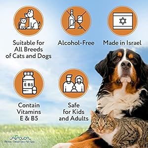 Arava natural pet grooming wipes with silk protein  minerals for dogs  cats  cleaning deodorizing wet wipes for body face fur and paws  safe for puppies  kittens  7 5 x 5 inch  50 count   cucciolini doodles