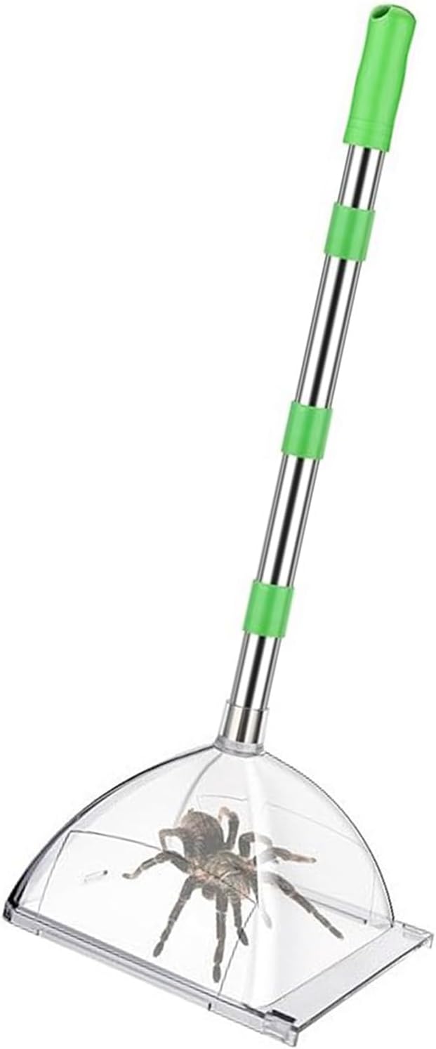 Portable Stainless Steel Spiders Catcher For Indoor Outdoor Use With 32 Inch Extendable Handle Spiders Catcher For Natural Enthusiasts