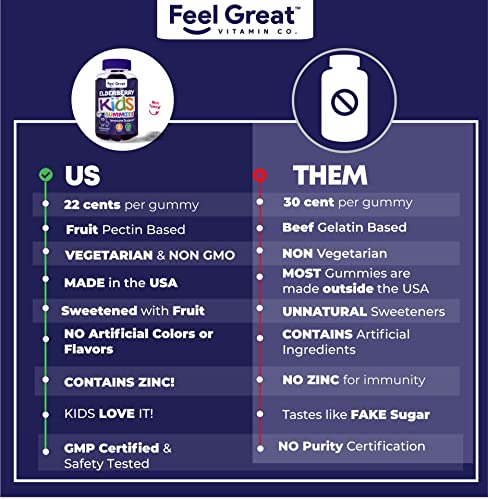 Elderberry Gummies For Kids By Feel Great Vitamin Co. | Delicious Vegan Elderberry For Kids Immune Support | Gluten Free Children's Vitamins With Zinc And Vitamin C | 90 Gummies #TOP6
