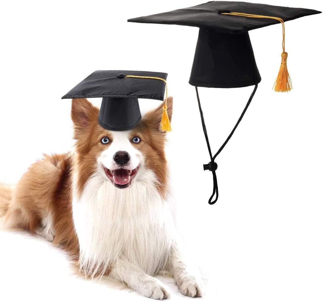 Dog Graduation Cap Dog Grad Cap Pet Graduation Caps Hats