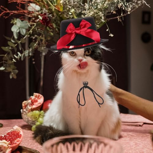 Sombrero ajustable decorativo para perros y gatos miniatura 4