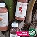 Urban Remedy Organic Warrior Meal Shake, 16 fl oz, with Raspberries, Strawberries & Chia Seeds, Low Glycemic, High Fiber Berry Smoothie, Organic, Non-GMO, Gluten-Free, Dairy-Free, Ready-to-Drink