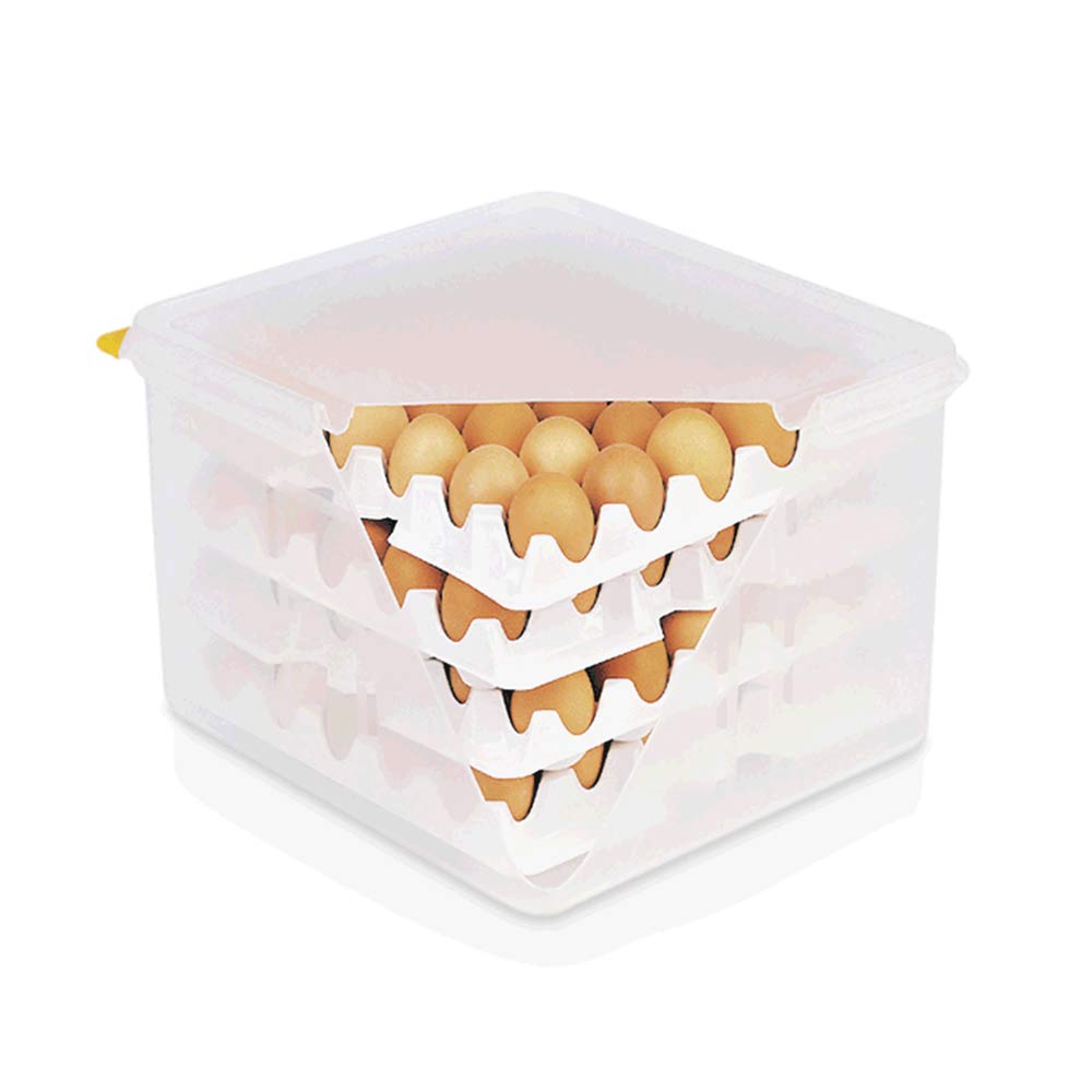 Boîte à Œufs HACCP WAS 8623 120 - Polypropylène 35,4 Cm X 32,5 Cm X 20 Cm