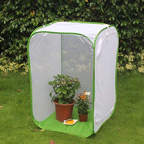 Jaula para insectos con estructura plegable y paredes de malla ventilada 2