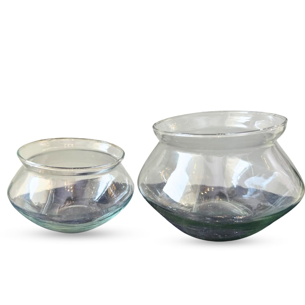 See full amazon price history chart for JESAA GREENS Round Shape Glass Bowl for Live Indoor Plants | Planter Bamboo Plant | Plant Decor Bowl | Glass Vase for Feng Shui Plant | Set of 2 JESAA GREENS Round Shape Glass Bowl for Live Indoor Plants | Planter Bamboo Plant | Plant Decor Bowl | Glass Vase for Feng Shui Plant | Set of 2 (B0CNLXNVXX) Amazon Price History, Amazon Price Tracker