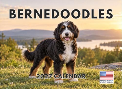 Bernedoodle Calendar 2027 Monthly Wall Calender 12 Month