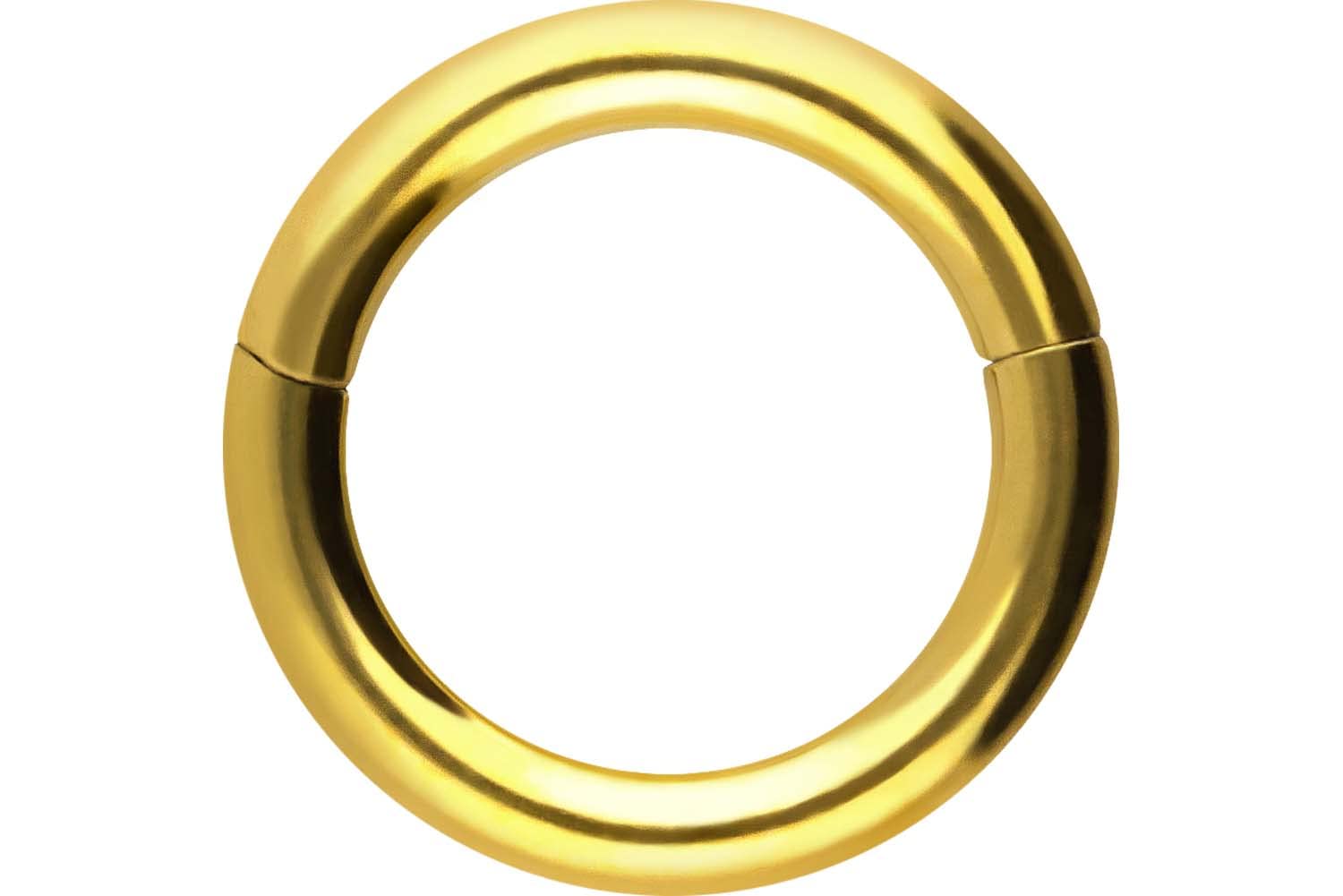 PIERCINGLINE Anillo segmento Clicker de acero quirúrgico – Piercing en oro, plata, rosa, negro o azul – para nariz, tabique, oreja, hélice o tragus — view 62