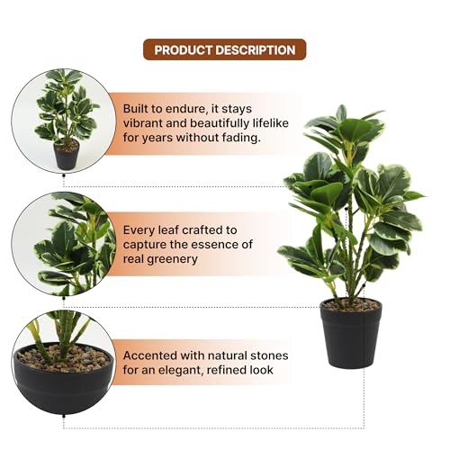 Image of Habere India-All the Cultures Fabricating India Artificial Plant with Pot for Home Decor | Fake Plants for Living Room Decoration | Artificial Plants for Decoration (Design 03; L22 x W17 X H38 cm)