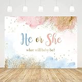 AIBIIN 7x5ft Gender Reveal Backdrop He or She What Will Baby Be Photography Background Watercolor Pastel Clouds Gender Reveal Party Decorations Cake Table Banner Supplies Photo Studio Props