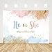 AIBIIN 7x5ft Gender Reveal Backdrop He or She What Will Baby Be Photography Background Watercolor Pastel Clouds Gender Reveal Party Decorations Cake Table Banner Supplies Photo Studio Props