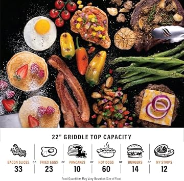 Blackstone On The Go 22-Inch Griddle, listing photo 4