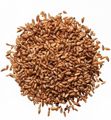 Biota Seed Herb | Bai Zi Ren | Platycladus Seed, Platycladus orientalis, Semen Platycladi | Chinese Herb 1 Lb.