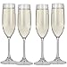 Lily's Home Unbreakable Acrylic Champagne Glasses, Made of Shatterproof Plastic and Ideal for Indoor and Outdoor Use, Reusable, Crystal Clear (5 oz. Each, Set of 4)